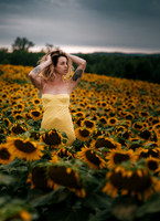 At the Sunflower Farm