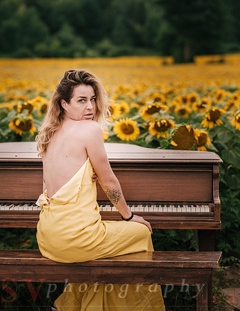 At the Sunflower Farm