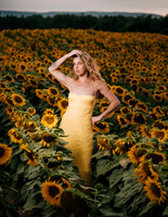 At the Sunflower Farm