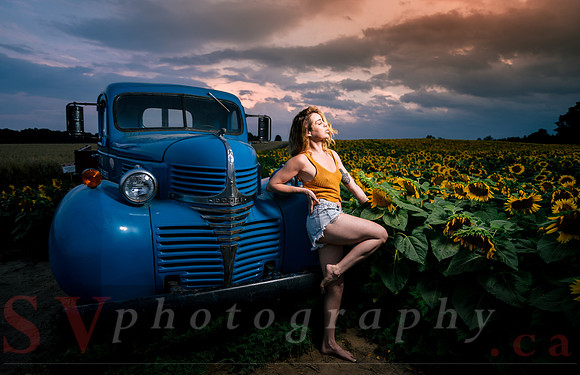 At the Sunflower Farm