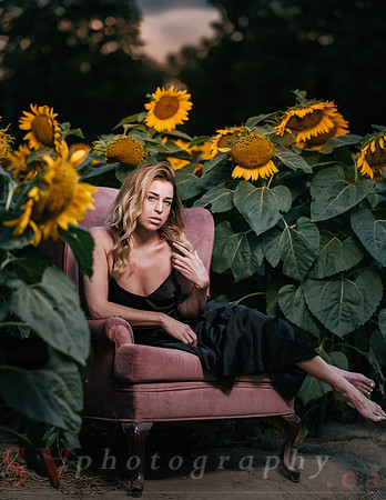 At the Sunflower Farm