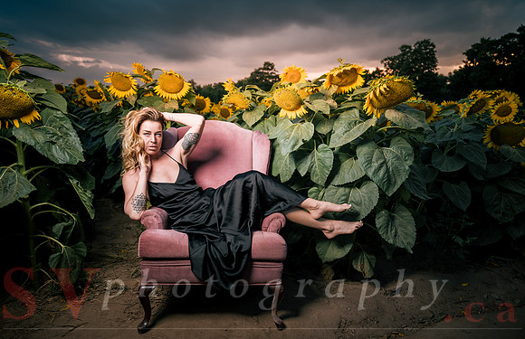 At the Sunflower Farm
