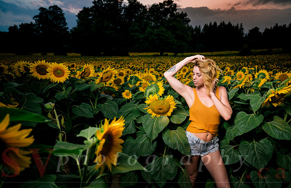 At the Sunflower Farm