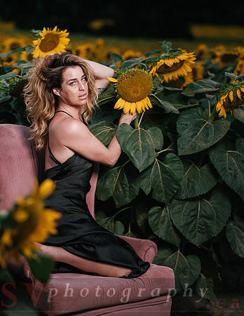 At the Sunflower Farm