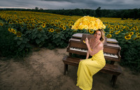 At the Sunflower Farm