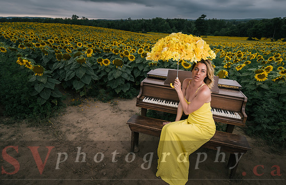 At the Sunflower Farm