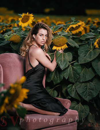 At the Sunflower Farm