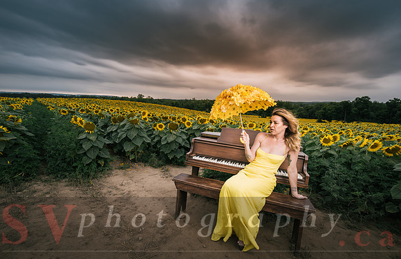 At the Sunflower Farm