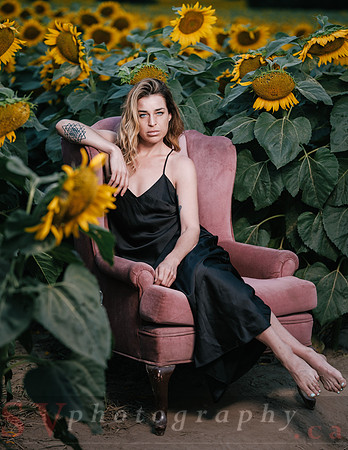 At the Sunflower Farm