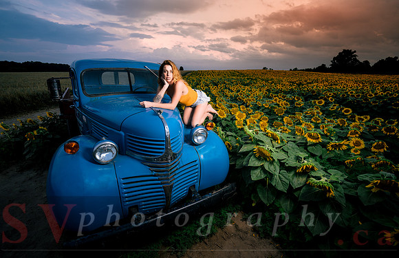 At the Sunflower Farm