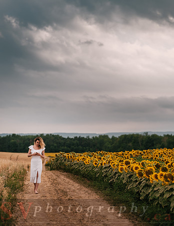 At the Sunflower Farm