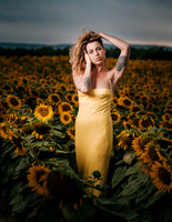At the Sunflower Farm