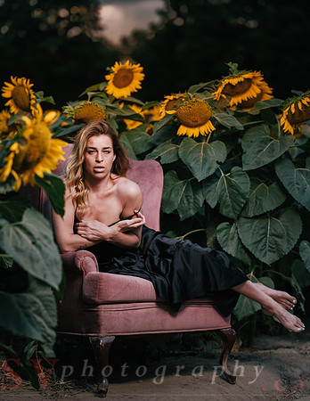 At the Sunflower Farm