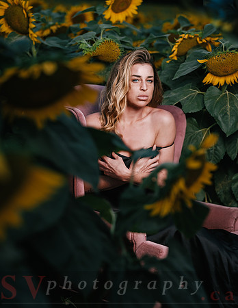 At the Sunflower Farm