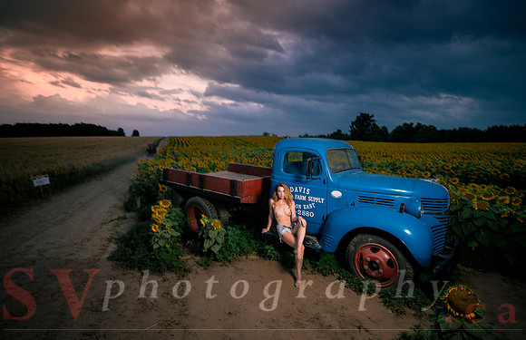 At the Sunflower Farm
