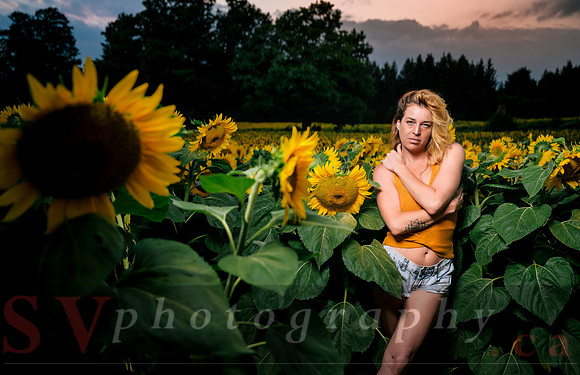 At the Sunflower Farm