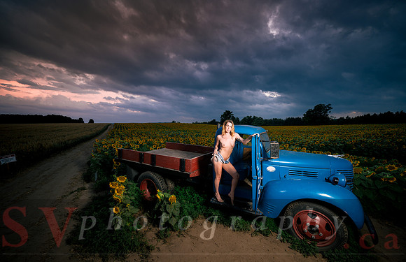 At the Sunflower Farm