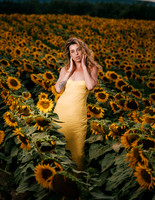 At the Sunflower Farm