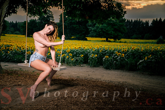 At the Sunflower Farm