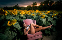 At the Sunflower Farm