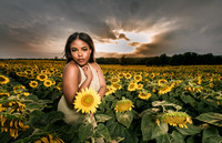 At the Sunflower Farm