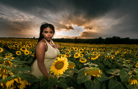At the Sunflower Farm