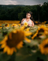 At the Sunflower Farm