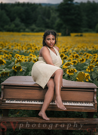 At the Sunflower Farm