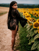 At the Sunflower Farm