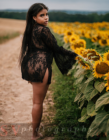 At the Sunflower Farm