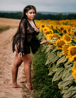 At the Sunflower Farm