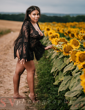 At the Sunflower Farm