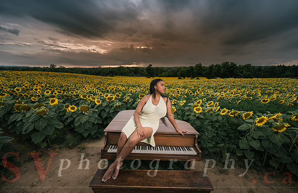 At the Sunflower Farm