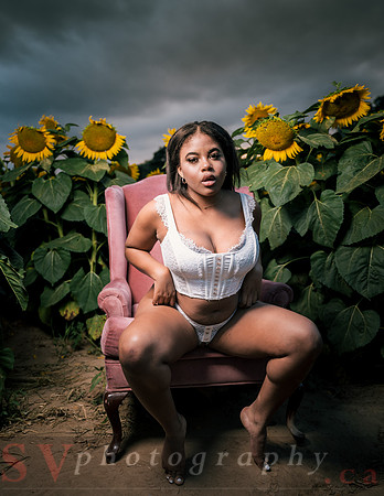 At the Sunflower Farm