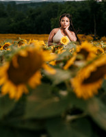 At the Sunflower Farm
