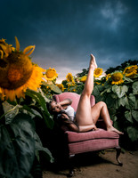 At the Sunflower Farm