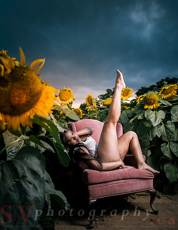 At the Sunflower Farm