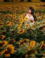 At the Sunflower Farm