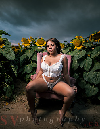 At the Sunflower Farm