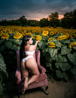 At the Sunflower Farm