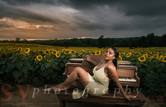 At the Sunflower Farm