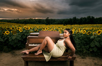 At the Sunflower Farm
