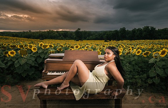 At the Sunflower Farm