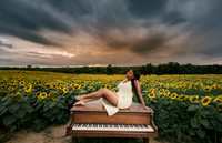 At the Sunflower Farm