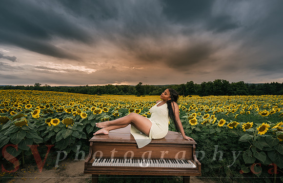 At the Sunflower Farm