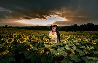 At the Sunflower Farm