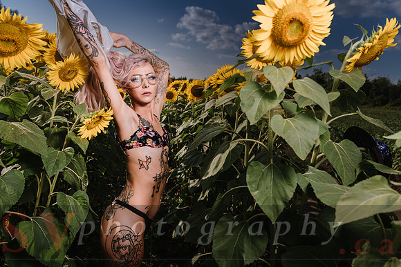 Be Your Own Sun