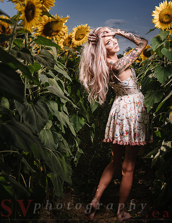 Be Your Own Sun