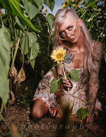 Be Your Own Sun
