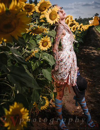 Be Your Own Sun
